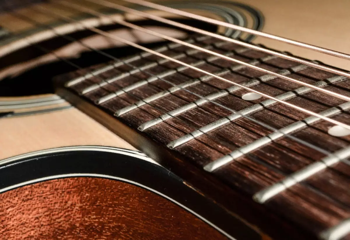 Takamine Guitars (19 ඡායාරූප):, ධ්වනි electroacoustic හා සම්භාව්ය ආකෘති, විශේෂාංග සහ ඉඟි 27132_19