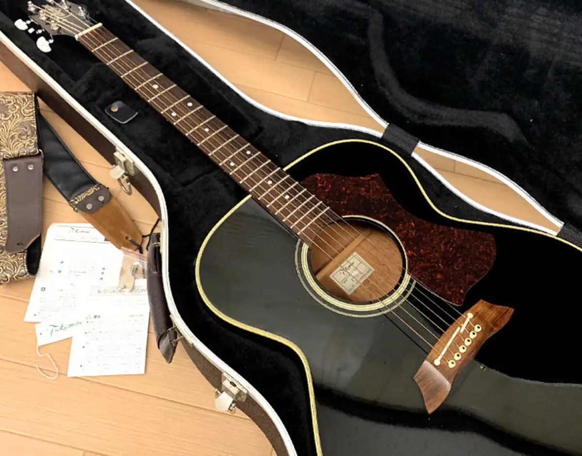 Guitars Takamine (19 รูป): อะคูสติก, อิเล็กโทรซะและโมเดลคลาสสิกคุณสมบัติและเคล็ดลับ 27132_3