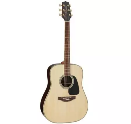 Takamine guitars (19 photos): acoustic, electroacoustic and classic models, features and tips 27132_5
