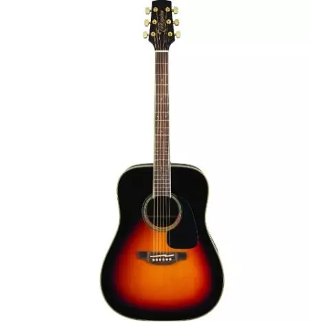Takamine gitare (19 slike): akustički, elektroakustičkih i klasičnih modela, karakteristike i savjeti 27132_6
