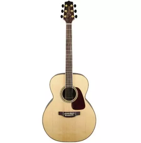 Takamine gitare (19 slike): akustički, elektroakustičkih i klasičnih modela, karakteristike i savjeti 27132_7