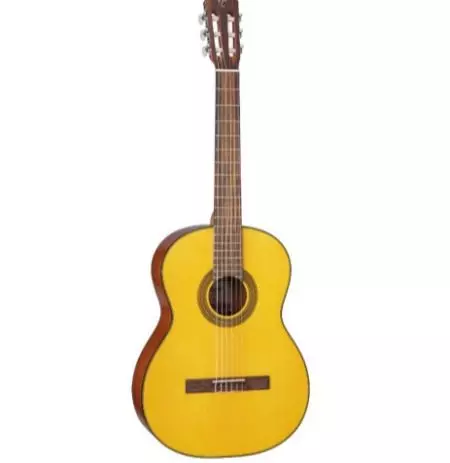 Takamine guitars (19 photos): acoustic, electroacoustic and classic models, features and tips 27132_8