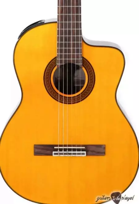 Takamine guitars (19 photos): acoustic, electroacoustic and classic models, features and tips 27132_9