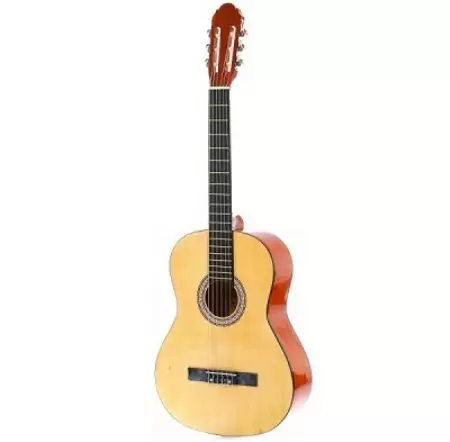 Гітары Elitaro: акустычныя і электраакустычны гітары E4110C BK і E4010C SB, E4040EQ N і E4030C Tiger, іншыя. Краіна-вытворца, водгукі 27135_12