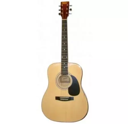 Rockdale-Gitarren: E-Gitarren und Akustik, Bassgitarren und elektroakustische, klassische Modelle, Hersteller 27138_9