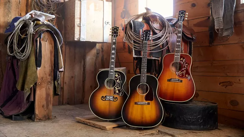 κιθάρες Gibson (34 φωτογραφίες): ηλεκτρικές κιθάρες και ακουστικές, μπάσο κιθάρες και ημι-ακουστική, Les Paul και SG, άλλα μοντέλα και την επιλογή των χορδών