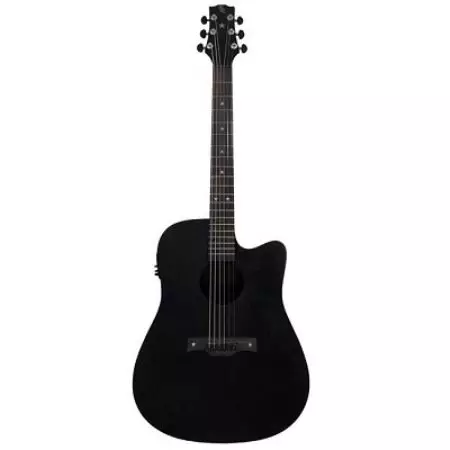 Guitars Baton Rouge: acoustic l1ls / d iyo ar1c / d, electro-acoustic iyo giraanta fiitaarka, 12-xarig iyo moodallo kale 27142_20