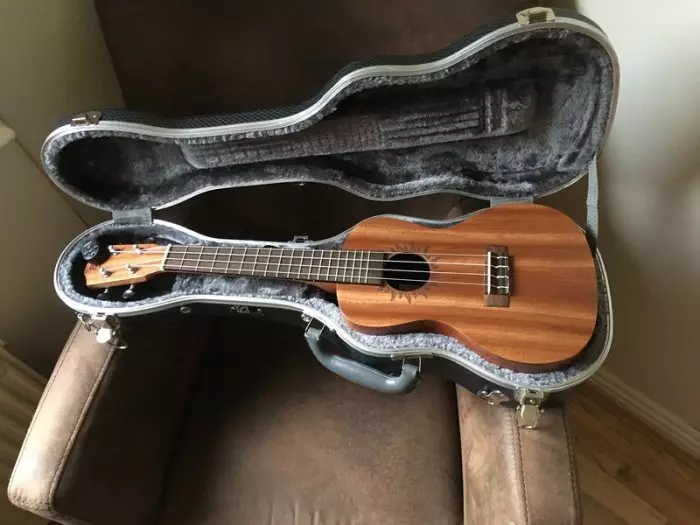 Kitarat baton rouge: akustike l1ls / d dhe ar11c / d, kitarat elektro-akustike dhe klasike, 12-string dhe modele të tjera 27142_21