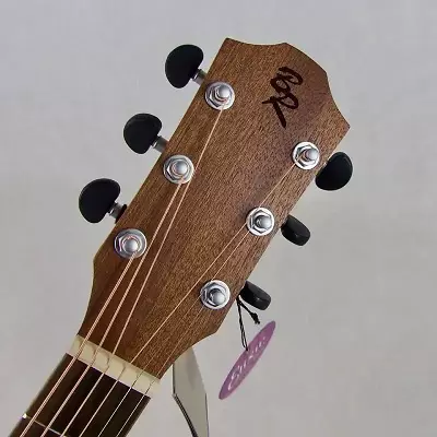 Kitarat baton rouge: akustike l1ls / d dhe ar11c / d, kitarat elektro-akustike dhe klasike, 12-string dhe modele të tjera 27142_22
