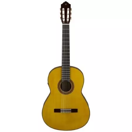 Yamaha gitarrak (41 argazki): Transacoupled FG-TA eta erdi-sorta, Gigmaker eta bestelako ereduak, hautaketa azala. Nola serie zenbakia egiaztatzeko? 27143_13