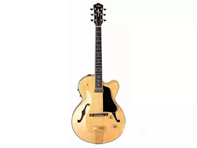 Yamaha Guitars (Picha 41): TransaCoupled FG-TA na Semi-Bouquet, Gigmaker na mifano nyingine, kifuniko cha uteuzi. Jinsi ya kuangalia namba ya serial? 27143_15