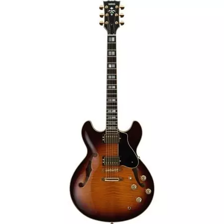 Yamaha Guitars (41 Fotoğraf): Transaküplü FG-TA ve Yarı Buket, Gigmaker ve diğer modeller, seçim kapağı. Seri numarasını nasıl kontrol edersiniz? 27143_28