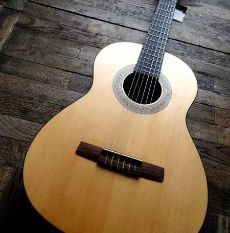 होहनर गिटार: क्लासिक एचसी -06 आणि ध्वनिक एचडब्ल्यू220 एन, बास गिटार आणि इतर मॉडेल, देश-निर्माता आणि पुनरावलोकने 27146_10