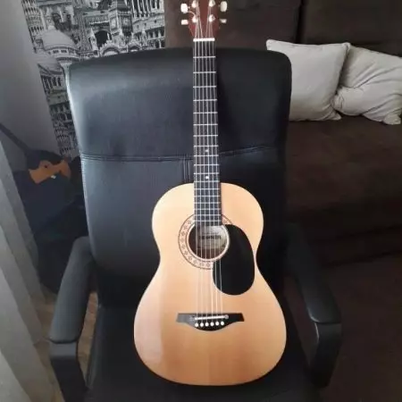 Hohner Guitars: Classic HC-06 sy Acoustic HW220 N, Guitars Bass ary modely hafa, mpamokatra firenena sy famoaham-bahoaka sy hevitra 27146_11