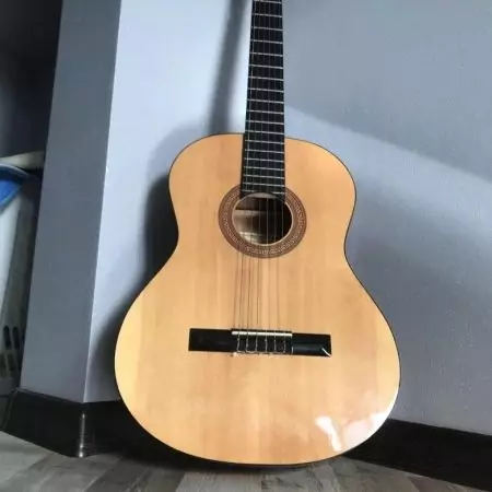 होहनर गिटार: क्लासिक एचसी -06 आणि ध्वनिक एचडब्ल्यू220 एन, बास गिटार आणि इतर मॉडेल, देश-निर्माता आणि पुनरावलोकने 27146_13