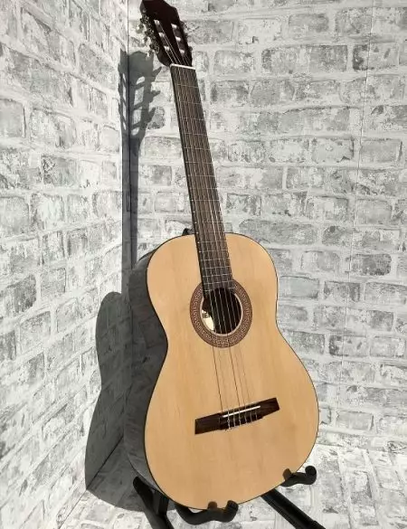 होहनर गिटार: क्लासिक एचसी -06 आणि ध्वनिक एचडब्ल्यू220 एन, बास गिटार आणि इतर मॉडेल, देश-निर्माता आणि पुनरावलोकने 27146_14