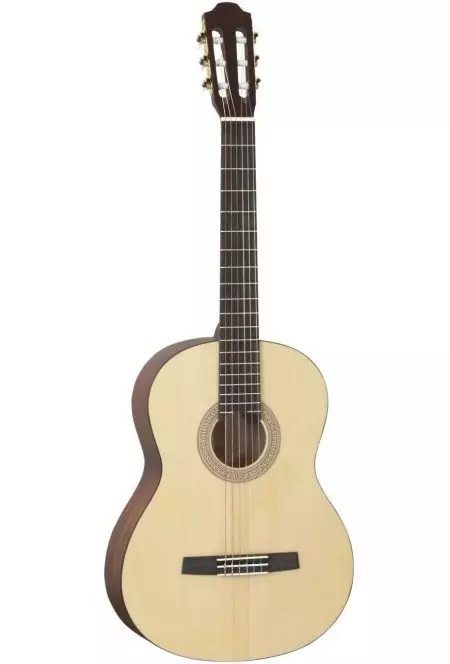 Hohner gitárok: klasszikus HC-06 és akusztikus hw220 n, basszusgitárok és egyéb modellek, ország-termelő és vélemények 27146_16