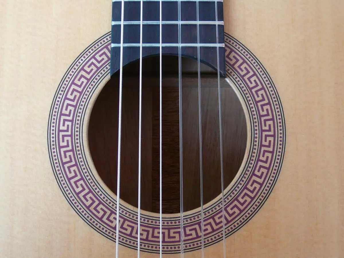 Hohner giitala: Calar HC-06 ndi Acoustic Hw220 n, ma gitars ndi mitundu ina, zopanga zamadziko lonse lapansi komanso zowunikira 27146_20