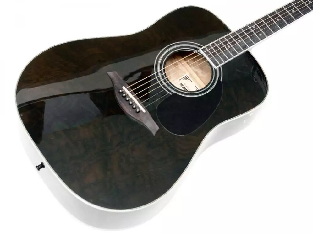 guitares Hohner: HC-06 et acoustique HW220 N classique, guitares basses et d'autres modèles, pays producteurs et commentaires 27146_21