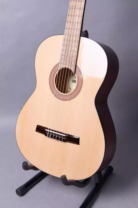 Hohner giitala: Calar HC-06 ndi Acoustic Hw220 n, ma gitars ndi mitundu ina, zopanga zamadziko lonse lapansi komanso zowunikira 27146_23