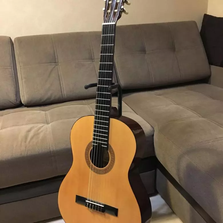 Hohner Guitars: Classic HC-06 နှင့် acoustic hw220 n, ဘေ့စ်ဂစ်တာများနှင့်အခြားမော်ဒယ်များနှင့်အခြားမော်ဒယ်များ, 27146_25