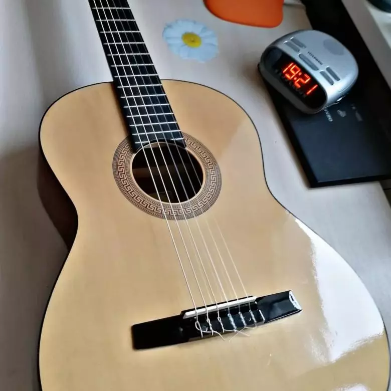Hohner Guitars: Classic HC-06 နှင့် acoustic hw220 n, ဘေ့စ်ဂစ်တာများနှင့်အခြားမော်ဒယ်များနှင့်အခြားမော်ဒယ်များ, 27146_27