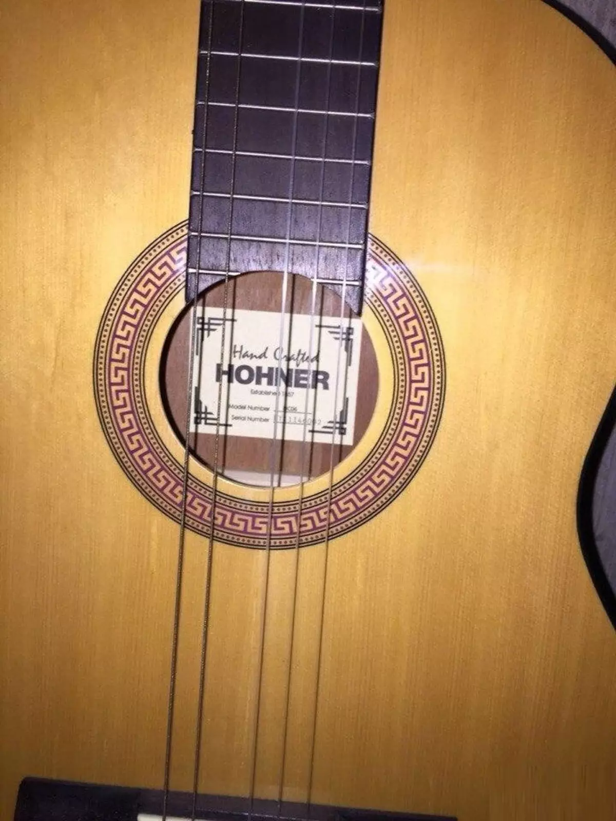 Hohner giitala: Calar HC-06 ndi Acoustic Hw220 n, ma gitars ndi mitundu ina, zopanga zamadziko lonse lapansi komanso zowunikira 27146_28