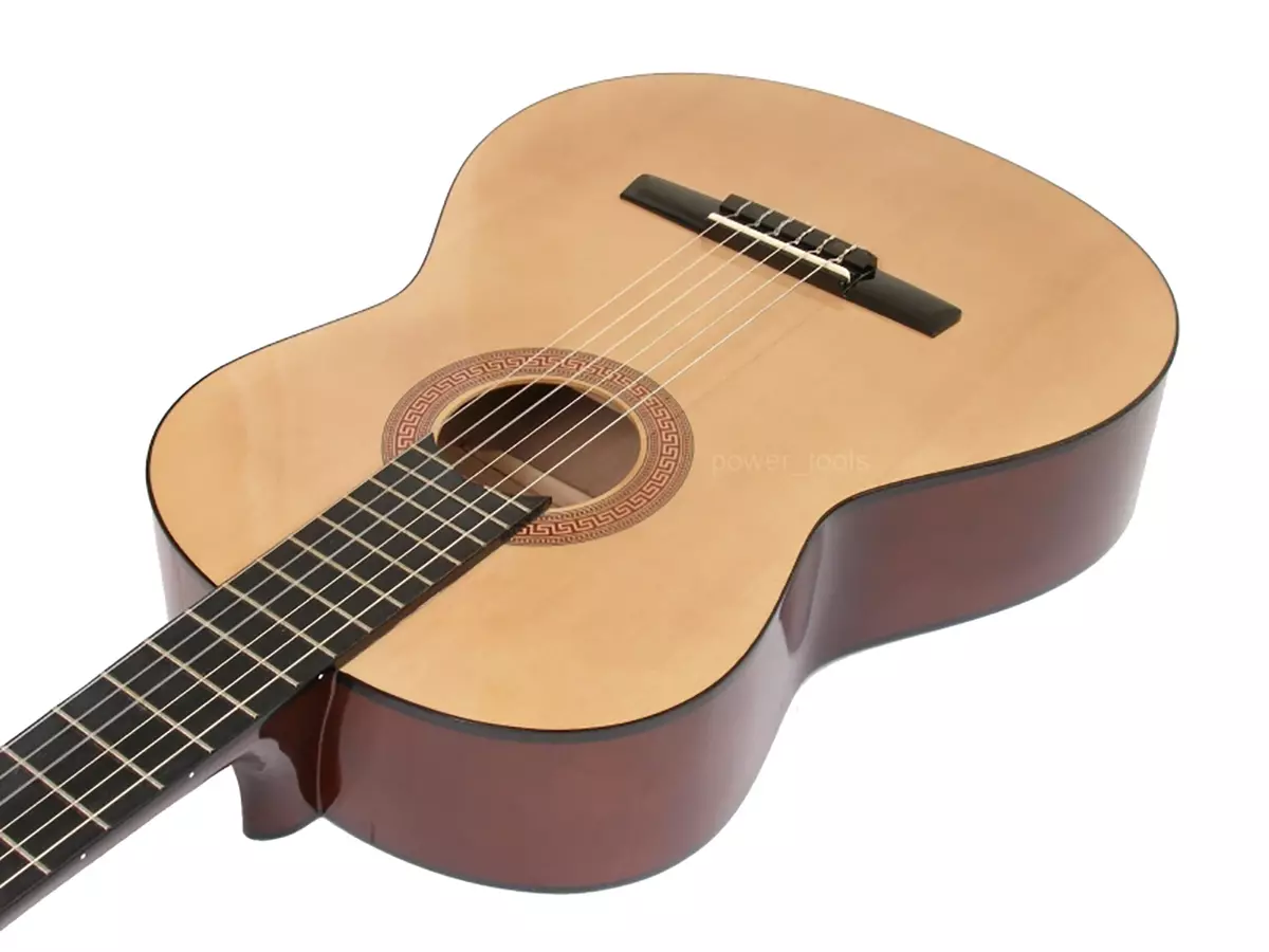 होहनर गिटार: क्लासिक एचसी -06 आणि ध्वनिक एचडब्ल्यू220 एन, बास गिटार आणि इतर मॉडेल, देश-निर्माता आणि पुनरावलोकने 27146_3