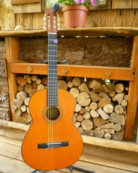 होहनर गिटार: क्लासिक एचसी -06 आणि ध्वनिक एचडब्ल्यू220 एन, बास गिटार आणि इतर मॉडेल, देश-निर्माता आणि पुनरावलोकने 27146_4