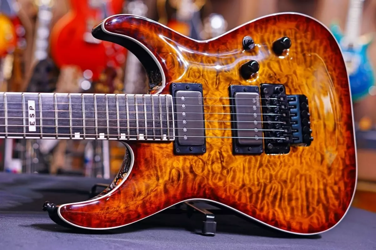 ESP Guitars: Ltd Elektrik gitarları ve bas gitarları, E-II tutulması ve diğer modeller, seçimlerinin özellikleri 27147_23