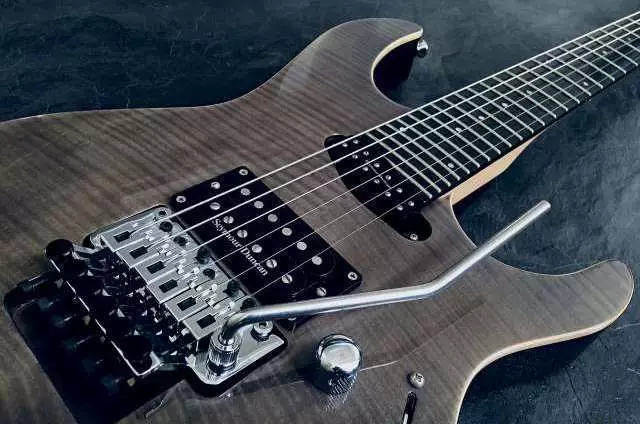 ESP 기타 : Ltd 전기 기타와베이스 기타, E-II Eclipse 및 다른 모델, 선택의 특징 27147_25