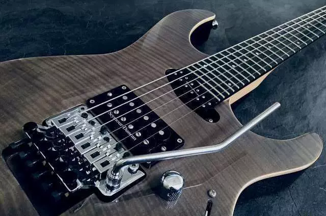 ESP Guitars: Chitarele electrice LTD și chitarele de bas, E-II Eclipse și alte modele, caracteristici ale alegerii lor 27147_25