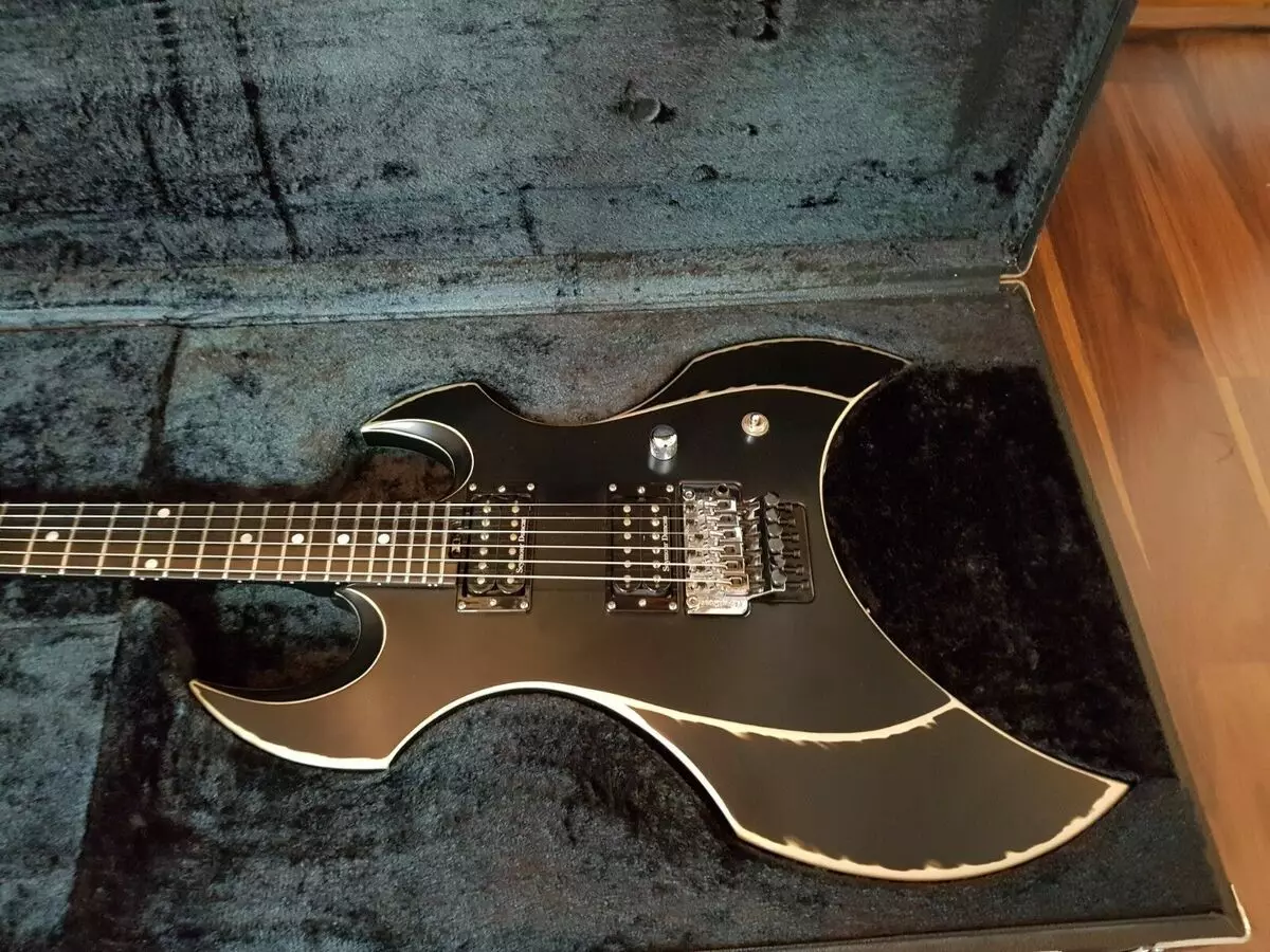 ESP Guitars: Chitarele electrice LTD și chitarele de bas, E-II Eclipse și alte modele, caracteristici ale alegerii lor 27147_26