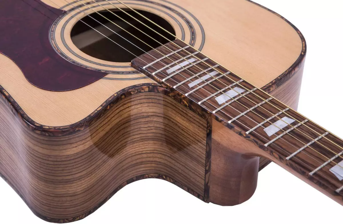 Martinez Guitars: Leictreach agus clasaiceach, tír-táirgeoir, W-91C BK agus W-124 BC / N, Acoustics W-164 P / SB agus samhlacha eile, athbhreithnithe 27152_11