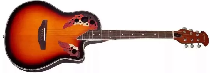 Martinez Guitars: Leictreach agus clasaiceach, tír-táirgeoir, W-91C BK agus W-124 BC / N, Acoustics W-164 P / SB agus samhlacha eile, athbhreithnithe 27152_13