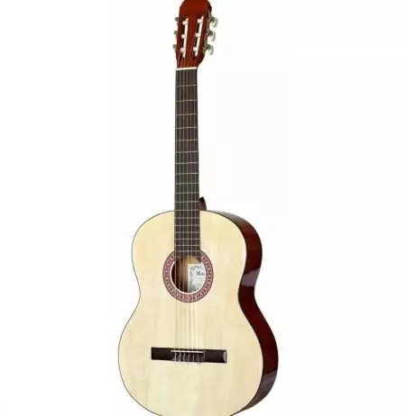 Martinez Guitars: Leictreach agus clasaiceach, tír-táirgeoir, W-91C BK agus W-124 BC / N, Acoustics W-164 P / SB agus samhlacha eile, athbhreithnithe 27152_14