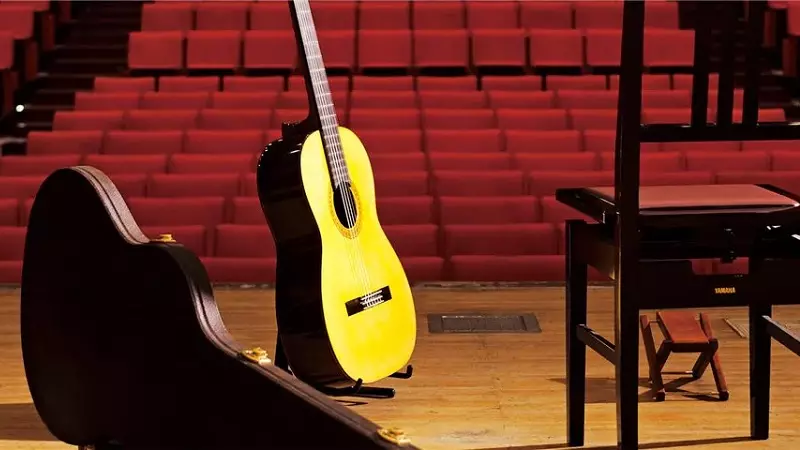 Klassische Gitarren Yamaha: C40 und C70, CX40 mit Pickup und C45K, CG122Ms Guitar-Übersicht und CS40-Klassiker, Andere Modelle, ihre Eigenschaften und Größen