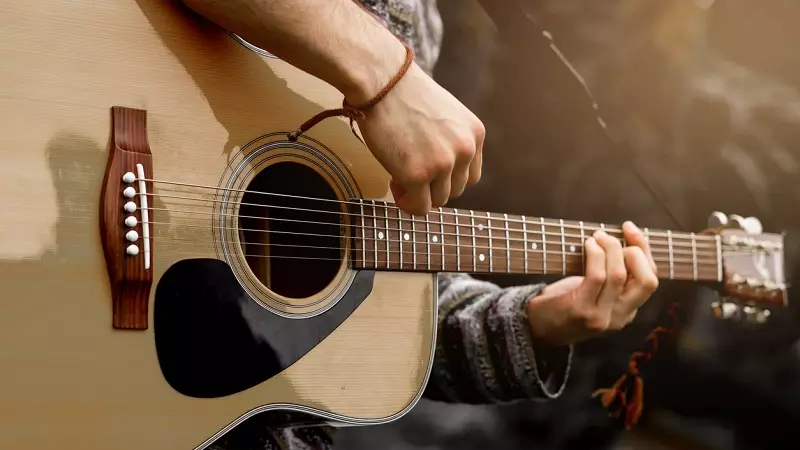 The best acoustic guitars: the rating of budget and expensive guitars, top firms. How to choose a guitar with high-quality sound? What are the most inexpensive?