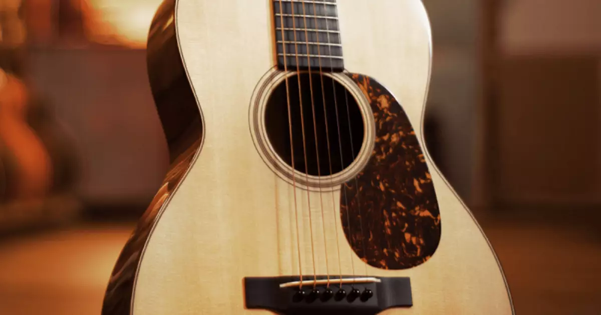 The best acoustic guitars for beginners: what to choose for a beginner? Rating of firms and top low-cost models, tips on choosing acoustics