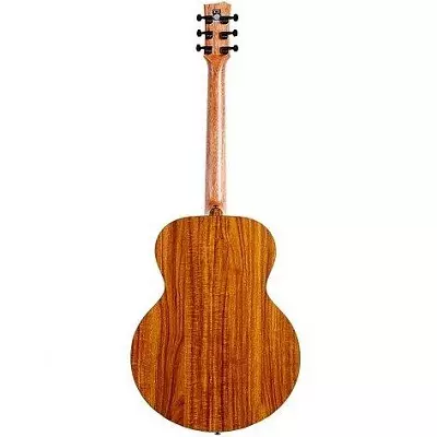 Ji bo destpêkan guitarên acoustîk çêtirîn: çi ji bo destpêkek hilbijêrin? Rêzkirin û Modelên Kevir ên Kevir, Pêşniyarên Li ser Hilbijartina Acoustics 27161_13