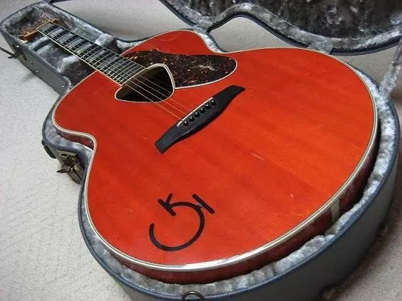 Ji bo destpêkan guitarên acoustîk çêtirîn: çi ji bo destpêkek hilbijêrin? Rêzkirin û Modelên Kevir ên Kevir, Pêşniyarên Li ser Hilbijartina Acoustics 27161_6