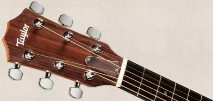 Nylon snaren foar akoestyske gitaar: Hoe te setten en te lûken? Hokker synthetyske snaren binne better? 27162_6