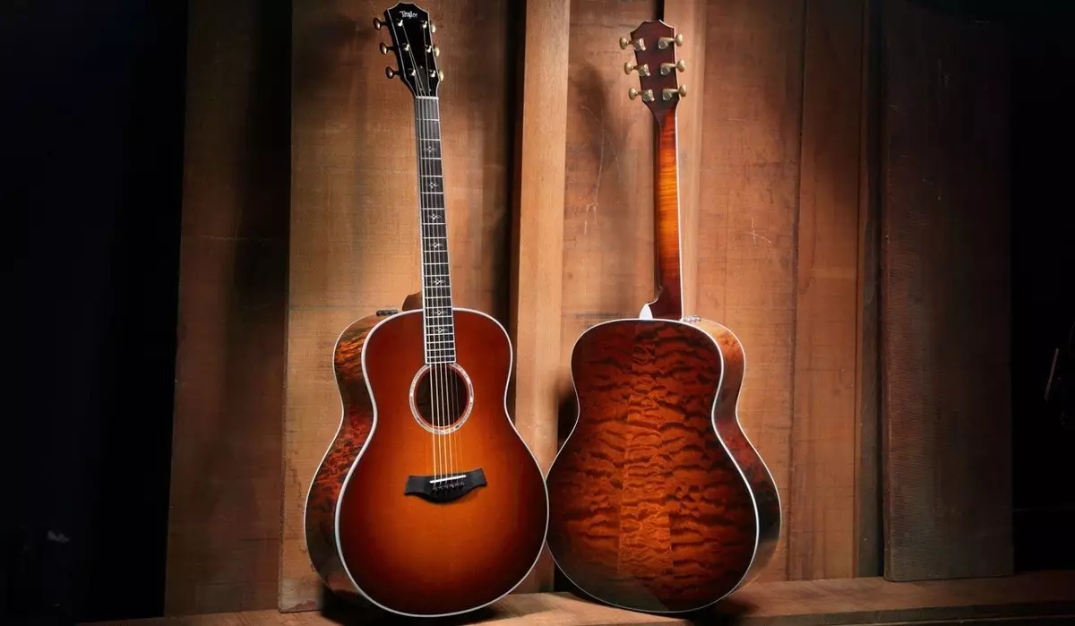 Видови на акустични гитари: со широк мршојад и тесни, типови на обликот на телото, тенки гитари и други сорти, необични опции
