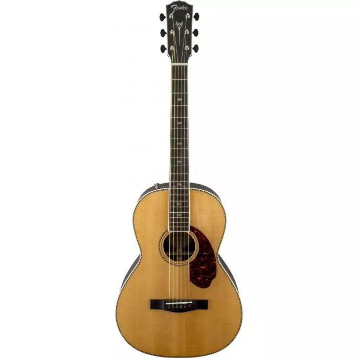 Typer av akustiske gitarer: Med en bred grib og smale, typer på formen på kroppen, tynne gitarer og andre varianter, uvanlige alternativer 27163_20