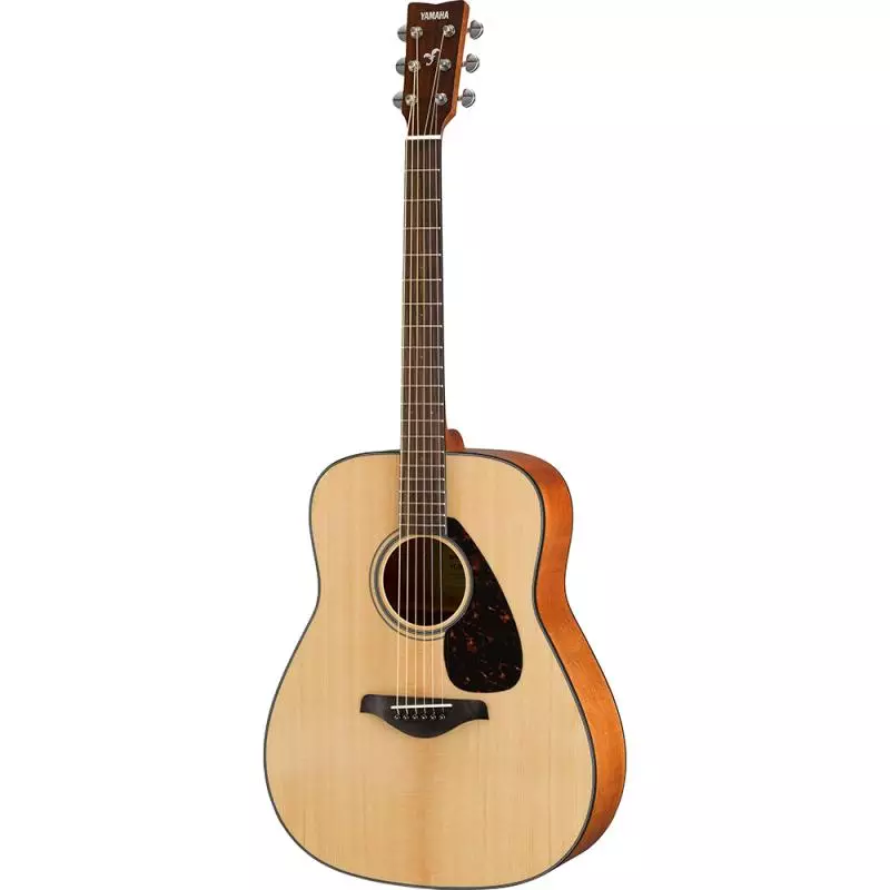 Typer av akustiske gitarer: Med en bred grib og smale, typer på formen på kroppen, tynne gitarer og andre varianter, uvanlige alternativer 27163_22