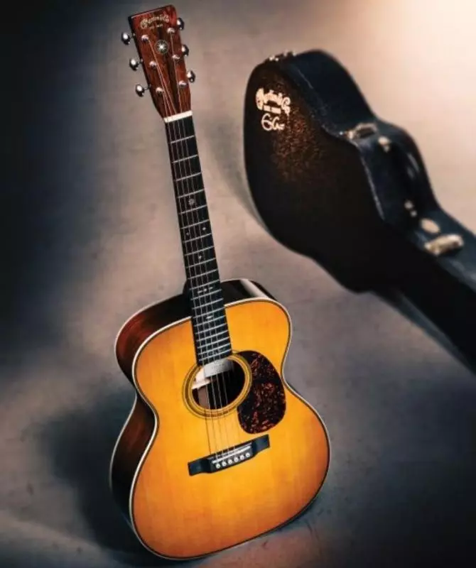 Typer av akustiske gitarer: Med en bred grib og smale, typer på formen på kroppen, tynne gitarer og andre varianter, uvanlige alternativer 27163_29