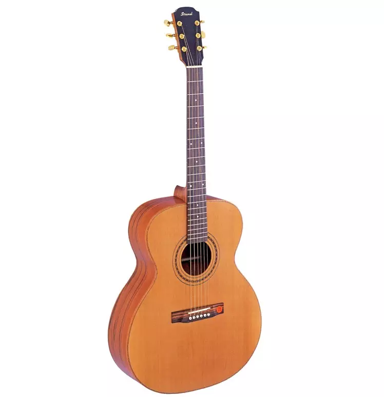 Typer av akustiske gitarer: Med en bred grib og smale, typer på formen på kroppen, tynne gitarer og andre varianter, uvanlige alternativer 27163_7