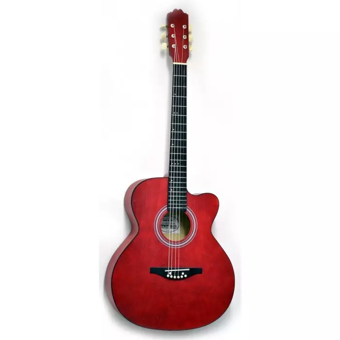 Typer av akustiske gitarer: Med en bred grib og smale, typer på formen på kroppen, tynne gitarer og andre varianter, uvanlige alternativer 27163_8