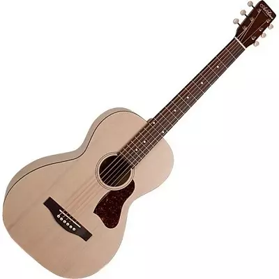 Ama-Acoustic Bass Guitars: Izici, amathiphu wokukhetha kanye namamodeli amahle kakhulu we-acoustic 27165_11