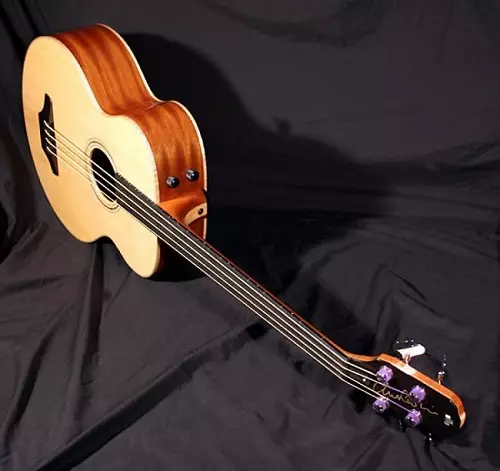 Ama-Acoustic Bass Guitars: Izici, amathiphu wokukhetha kanye namamodeli amahle kakhulu we-acoustic 27165_15
